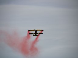 rodenberg2025 46
